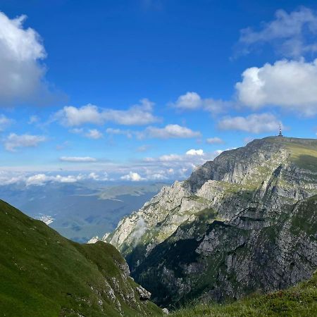 Apartamentul Alb Buşteni Exteriör bild