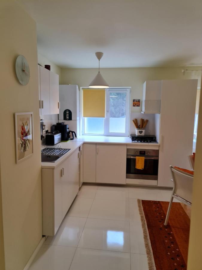 Apartamentul Alb Buşteni Exteriör bild
