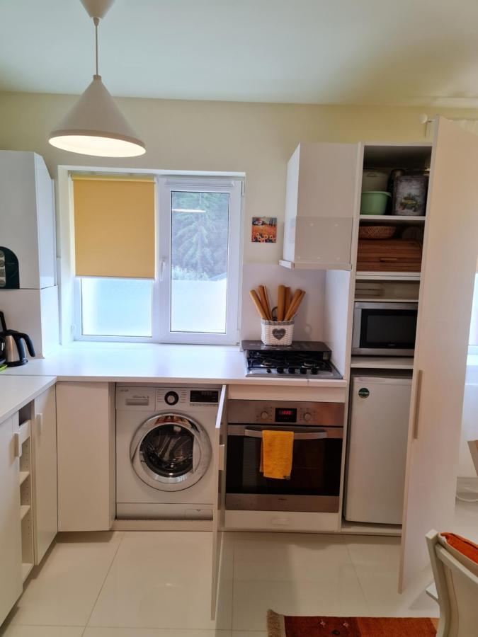 Apartamentul Alb Buşteni Exteriör bild