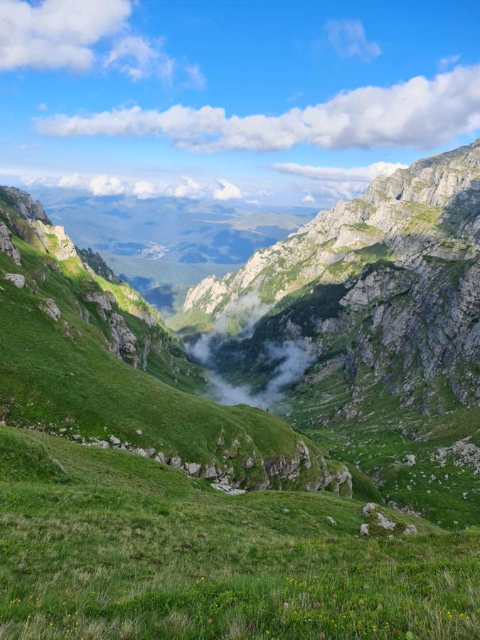 Apartamentul Alb Buşteni Exteriör bild