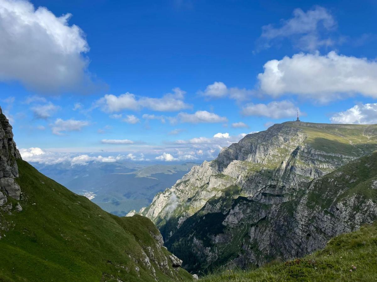 Apartamentul Alb Buşteni Exteriör bild