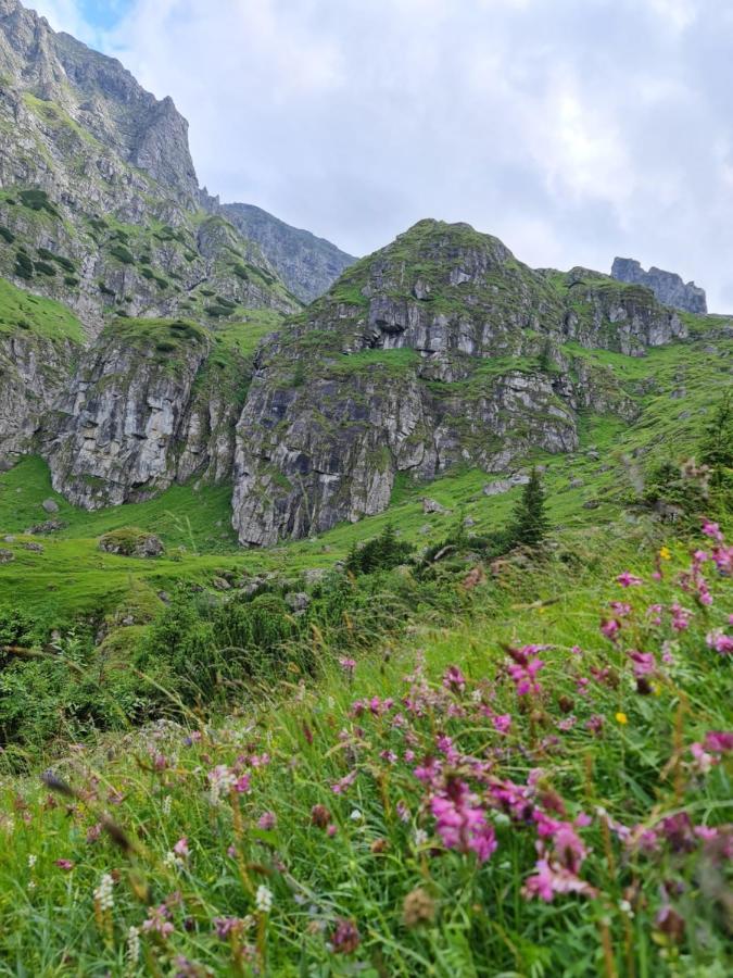 Apartamentul Alb Buşteni Exteriör bild
