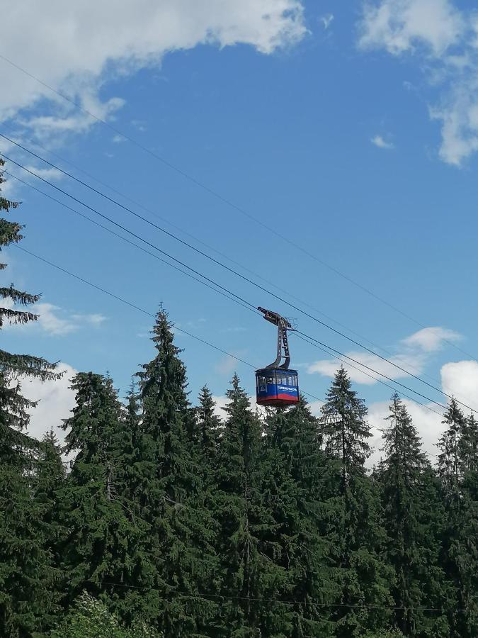 Apartamentul Alb Buşteni Exteriör bild