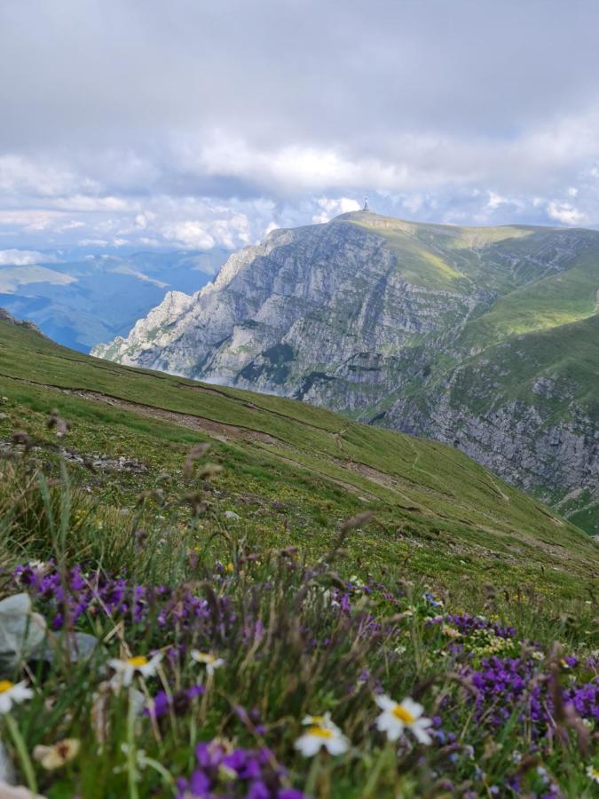 Apartamentul Alb Buşteni Exteriör bild