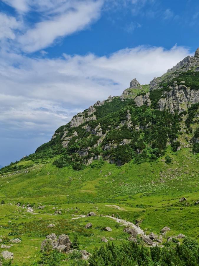 Apartamentul Alb Buşteni Exteriör bild